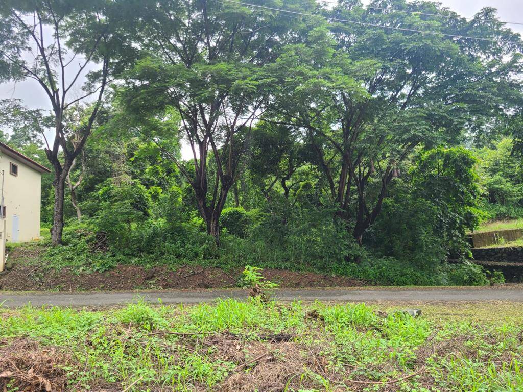 #1785 - Terreno para Venta en Guayaquil - G