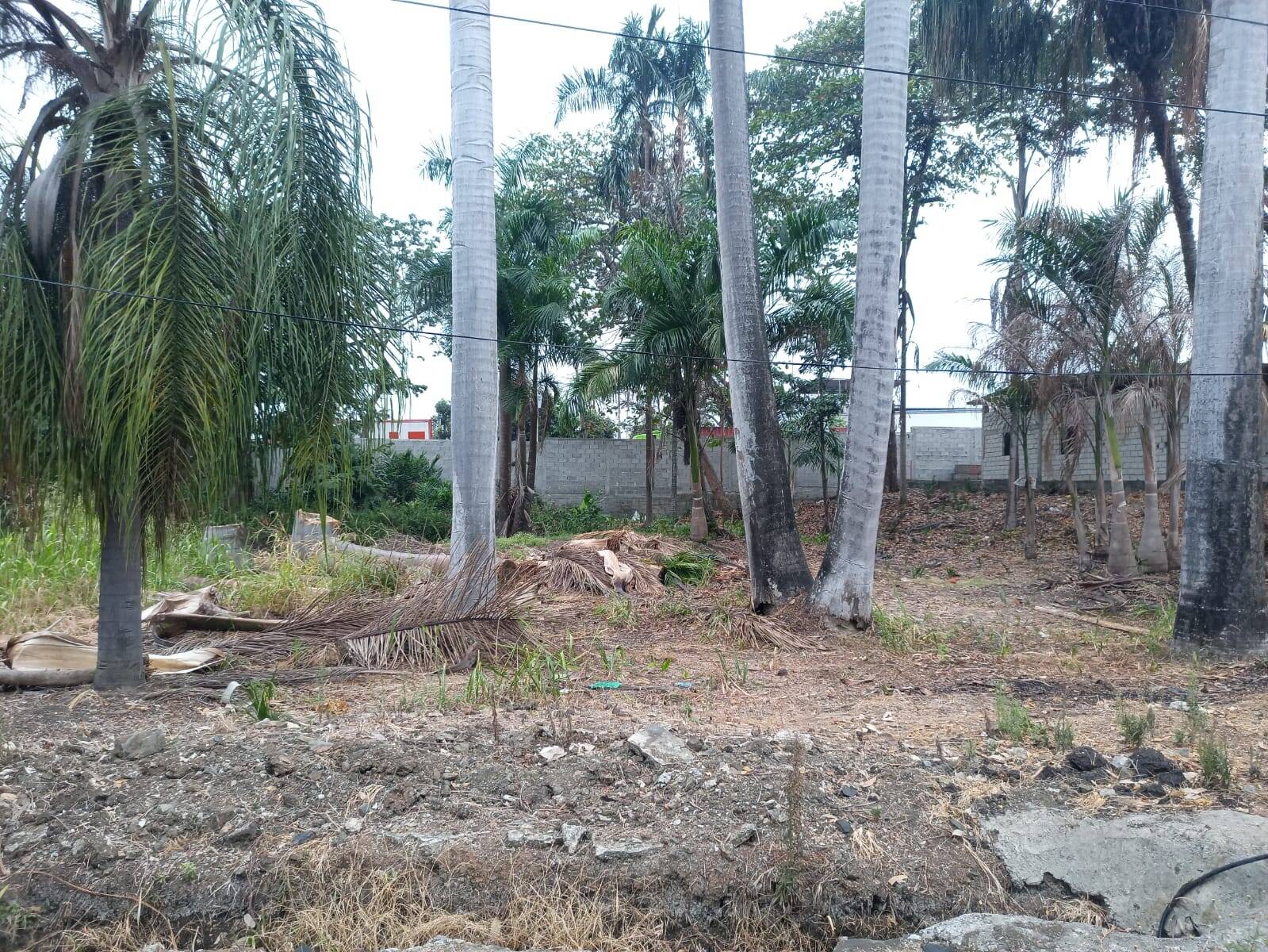 #2033 - Terreno para Venta en Guayaquil - G