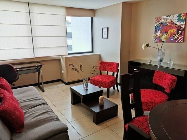 Suite para Alquiler en Guayaquil - 4