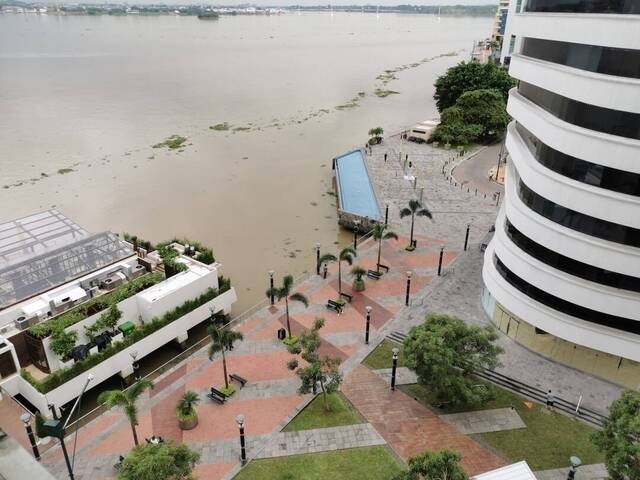 #552 - Suite para Alquiler en Guayaquil - G