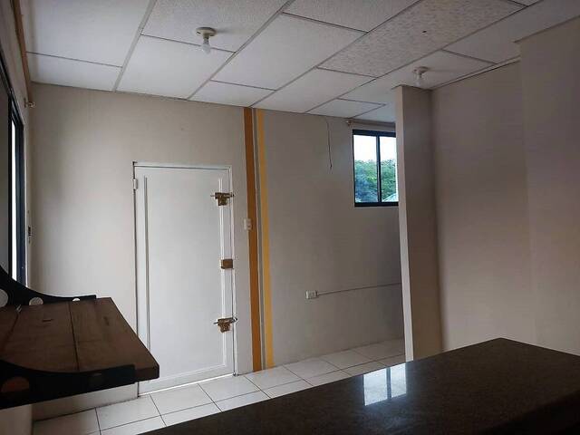 Suite para Alquiler en Guayaquil - 4