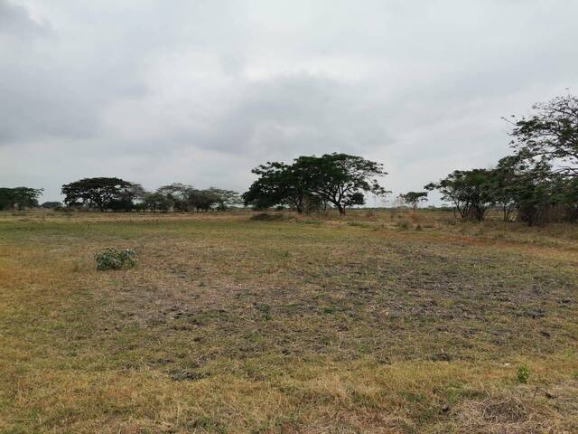 Terreno para Venta en Guayaquil - 2
