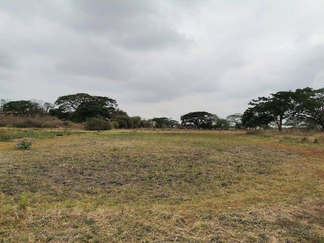 Terreno para Venta en Guayaquil - 3