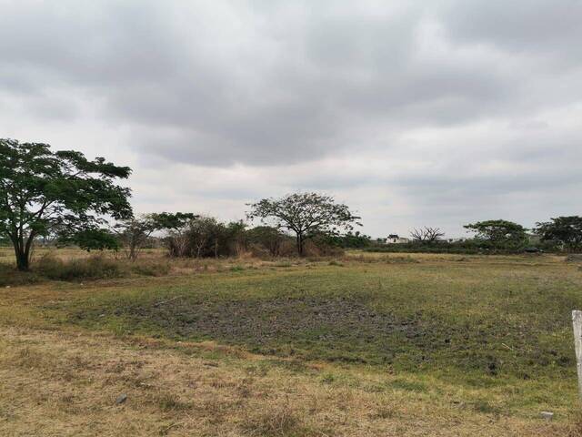 Terreno para Venta en Guayaquil - 4