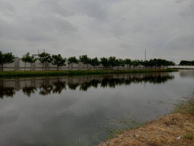 Terreno para Venta en Guayaquil - 5