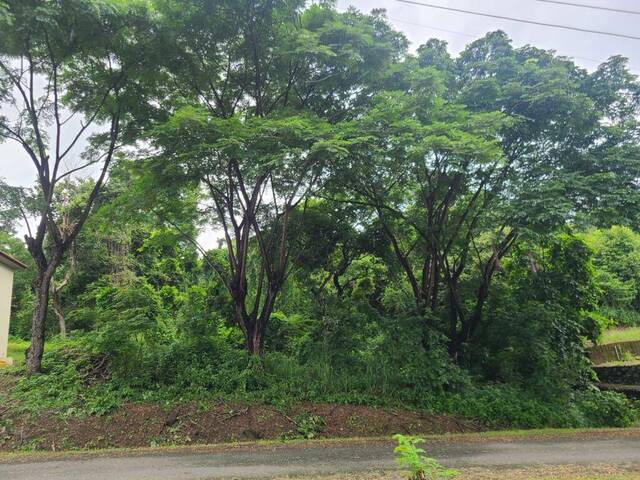 #1785 - Terreno para Venta en Guayaquil - G - 2