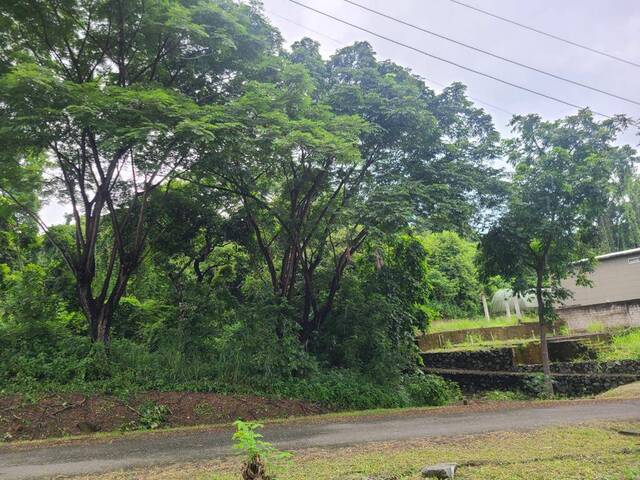 #1785 - Terreno para Venta en Guayaquil - G - 3