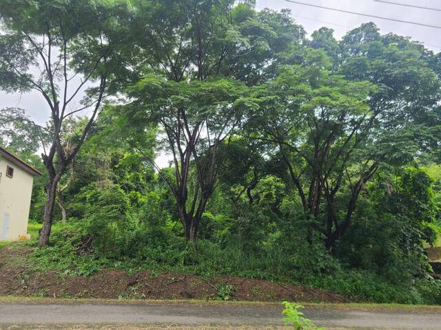 Terreno para Venta en Guayaquil - 4