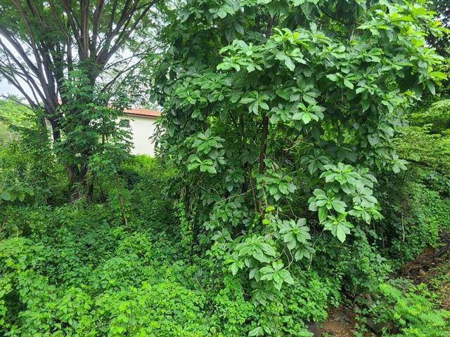 Terreno para Venta en Guayaquil - 5