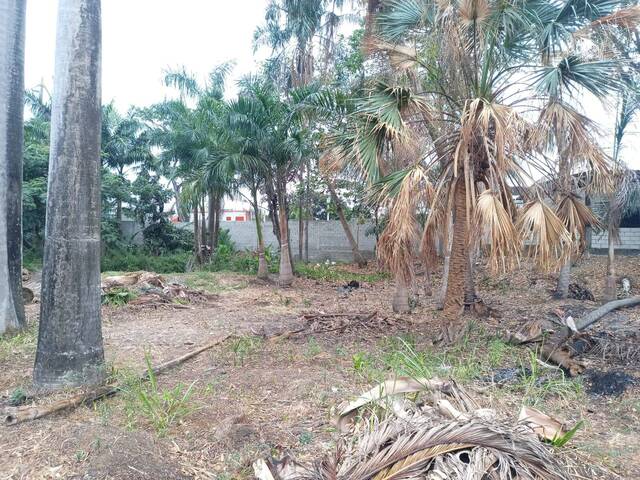 #2033 - Terreno para Venta en Guayaquil - G - 2