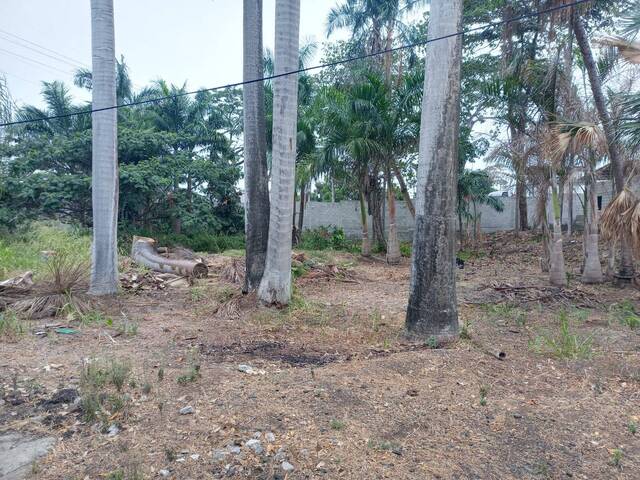 #2033 - Terreno para Venta en Guayaquil - G - 3