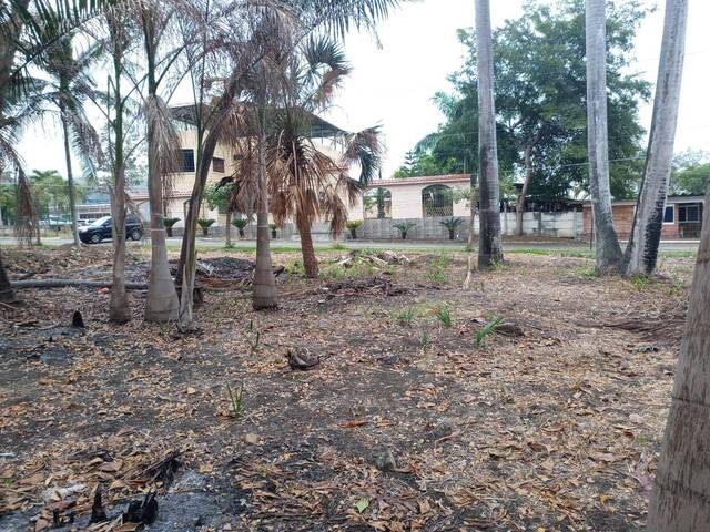 Terreno para Venta en Guayaquil - 5