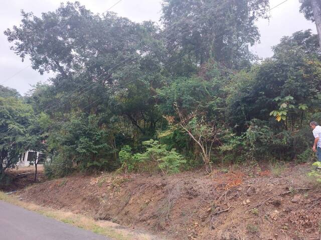 Terreno para construcción para Venta en Guayaquil - 4