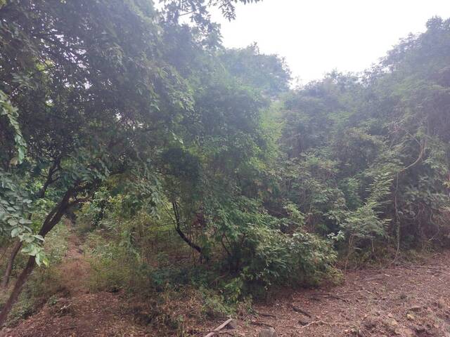 Terreno para construcción para Venta en Guayaquil - 5