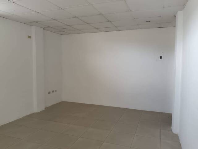 Oficina para Alquiler en Guayaquil - 4