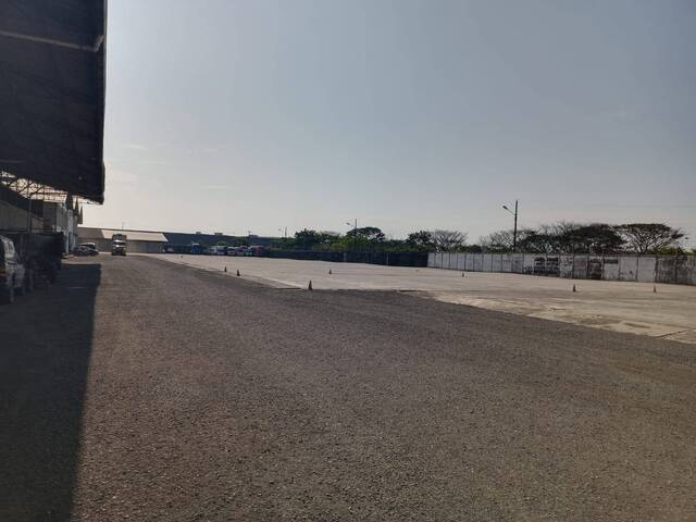 Bodega para Alquiler en Guayaquil - 4