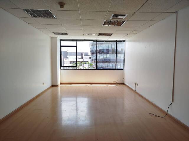 Alquiler en Edificio Professional Center - Guayaquil