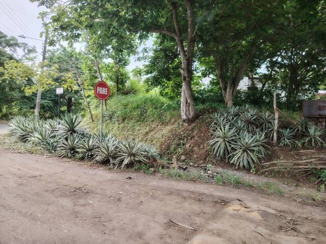 Área para Venta en Guayaquil - 3