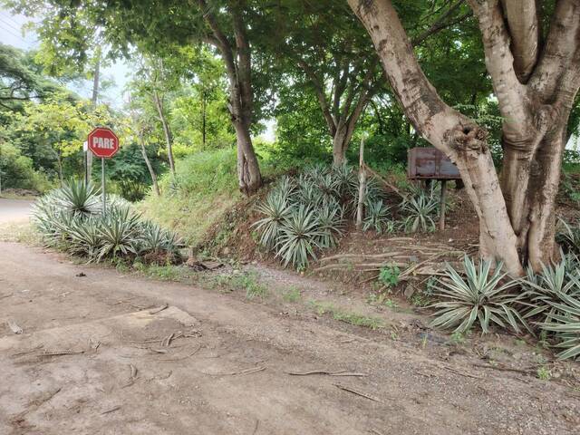 Área para Venta en Guayaquil - 5