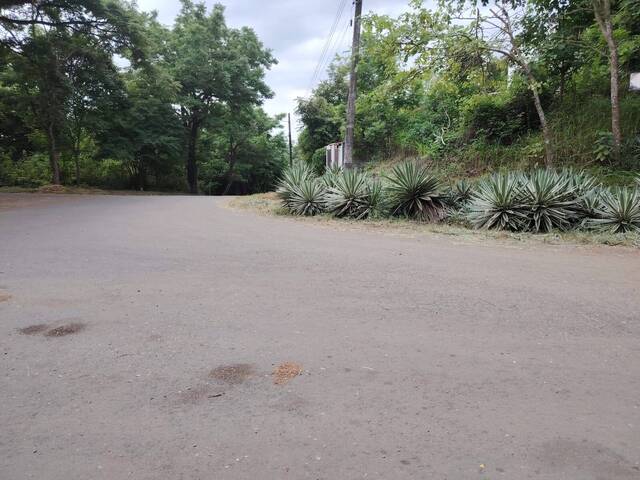 Área para Venta en Guayaquil - 4