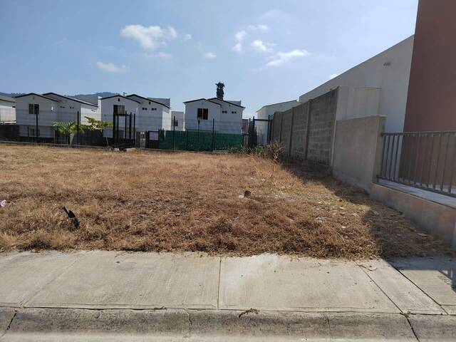 Terreno para Venta en Guayaquil - 4