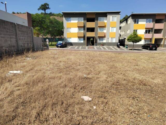 Terreno para Venta en Guayaquil - 5